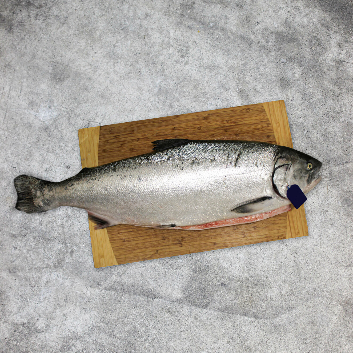 Whole Salmon Each